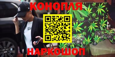 гидропоника Гагарин