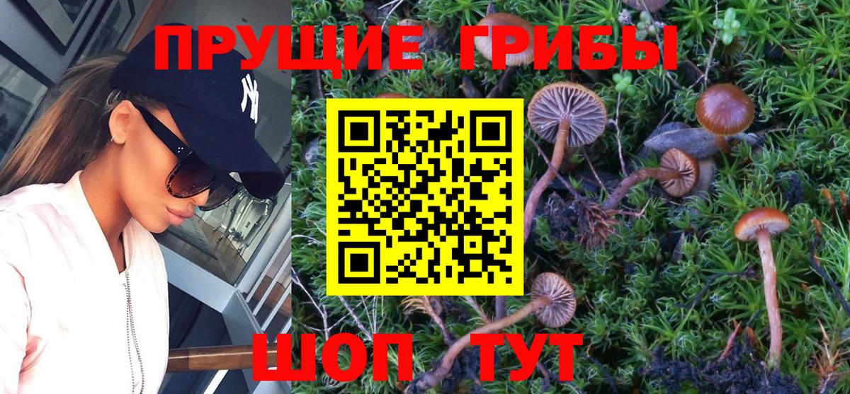 Галлюциногенные грибы прущие грибы  Галлюциногенные грибы Psilocybe  Георгиевск  Вход с VPN 