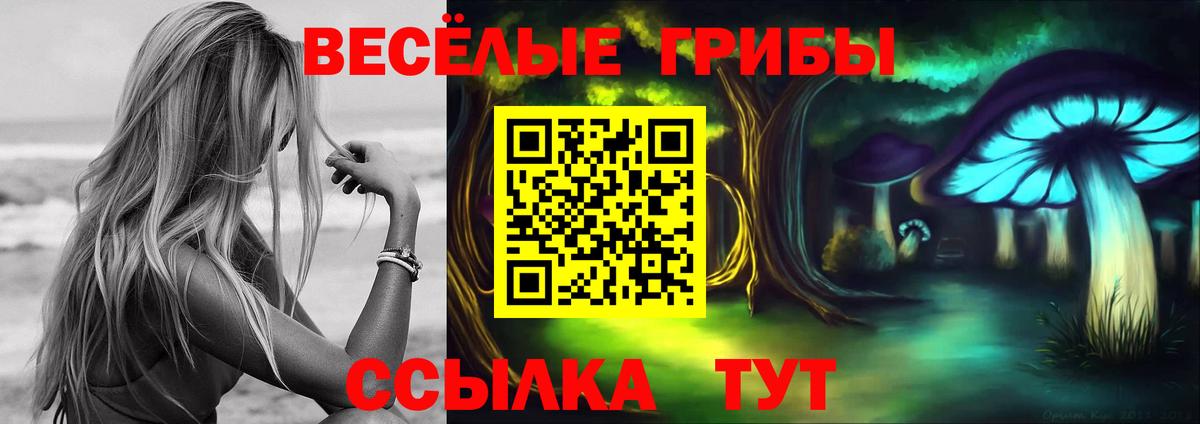 Псилоцибиновые грибы Cubensis Георгиевск