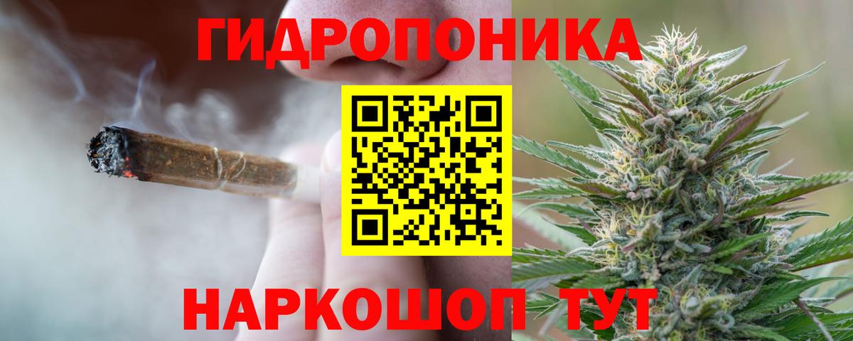 Бошки марихуана VHQ Георгиевск